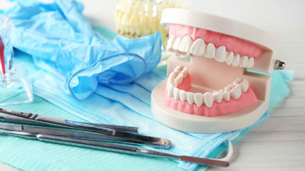 A dental model featuring a set of upper and lower false teeth set in pink gums, displayed on a light wooden background, surround by dental tools